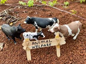 ANIMAL WELFARE & ETHICAL LIVING